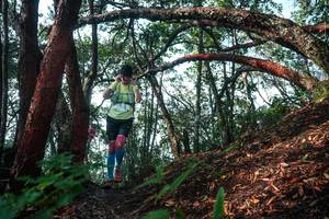 BIB: 
                            <button type="button" onclick="openModal(26344257)" class="btn btn-primary btn-sm float-right btn-popup" data-toggle="modal" data-target=".modal-high-quality">
                        <i class="fas fa-shopping-cart"></i> Add to Cart
                    </button>
                                            <button type="button" onclick="isThisMe(26344257, true)" class="btn btn-success btn-sm float-right btn-popup btn-isme hidden" data-toggle="tooltip" data-placement="bottom" title="นี่คือรูปของคุณใช่ไหม คลิกที่นี่เพื่อเอาเข้าอัลบั้ม">
                        <i class="fas fa-plus"></i> Add to album
                    </button>
                    <button type="button" onclick="isThisMe(26344257, false)" class="btn btn-warning btn-sm float-right btn-popup btn-isnotme hidden">
                        <i class="fas fa-ban"></i> Remove from album
                    </button>